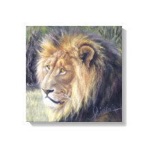 「陛下」 14" x 14"キャンバスのライオンのプリント
