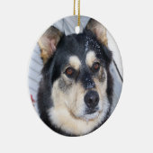 除かれる雪およびクリスマスおよびデボンの射撃、発砲銃のそり セラミックオーナメント (右)