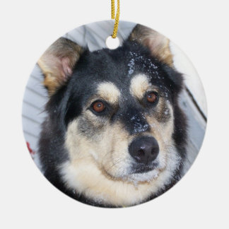 除かれる雪およびクリスマスおよびデボンの射撃、発砲銃のそり セラミックオーナメント