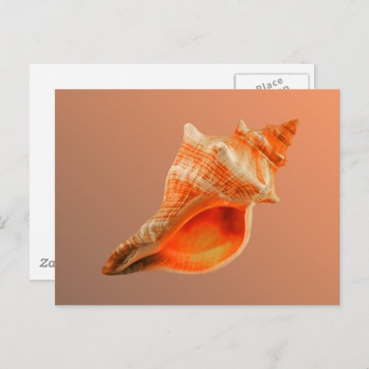 除去されたキツネ ポストカード (正面/裏面)