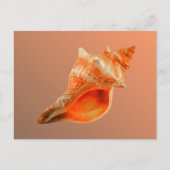 除去されたキツネ ポストカード (正面)