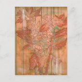 除去されたモダン背景のオレンジ色のフローラプリント ポストカード (正面)