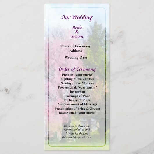 除草さくらんぼ及び常緑結婚式 プログラム (正面)