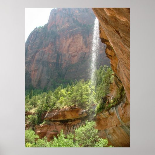 除草ロック ポスター (正面)