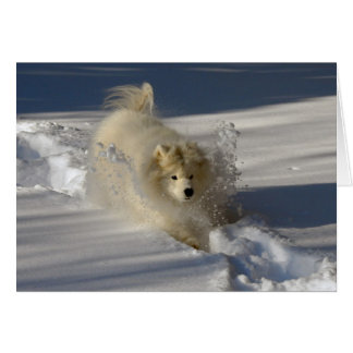 除雪車-空白のなカード