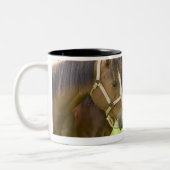 陰に立っている2匹のアメリカのクォーター馬 ツートーンマグカップ (左)