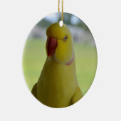 陰のインディアンRingneck セラミックオーナメント (右)