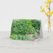 陰の庭1 カード (黄色い花)