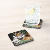 陰を楽しんでいるトラ コースター (右側)