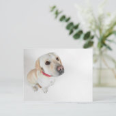 陰唇 ポストカード (スタンド正面)