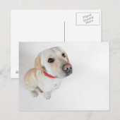 陰唇 ポストカード (正面/裏面)