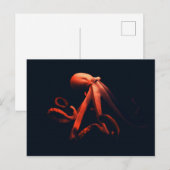 陰影のタコ ポストカード (正面/裏面)