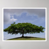 陰影 ポスター (正面)