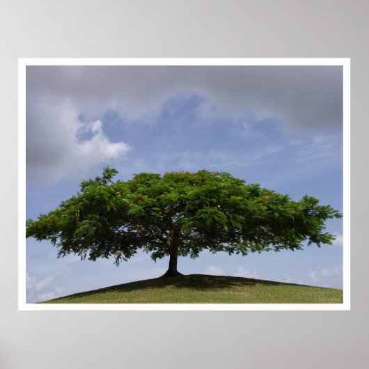 陰影 ポスター (正面)