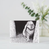 陰気なウサギの動物スケッチ ポストカード (スタンド正面)