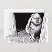 陰気なウサギの動物スケッチ ポストカード (正面/裏面)