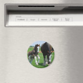 陰気に陰気に マグネット (インサイチュ (食洗機))