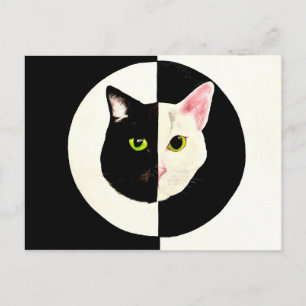 陰陽の黒と白の猫の顔のペイント ポストカード