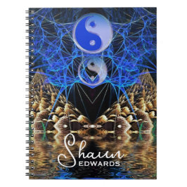 陰陽フラクタルの表示 ノートブック