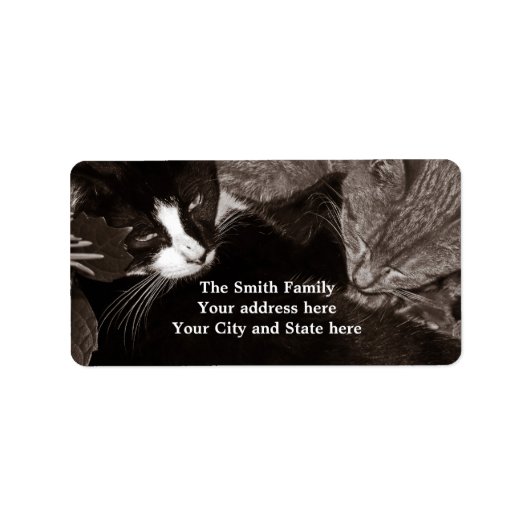 陰陽猫 ラベル (正面)