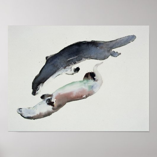 陰陽 ポスター (正面)