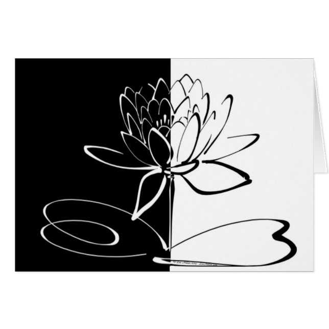 陰陽 黒と白の蓮の花 (正面横)