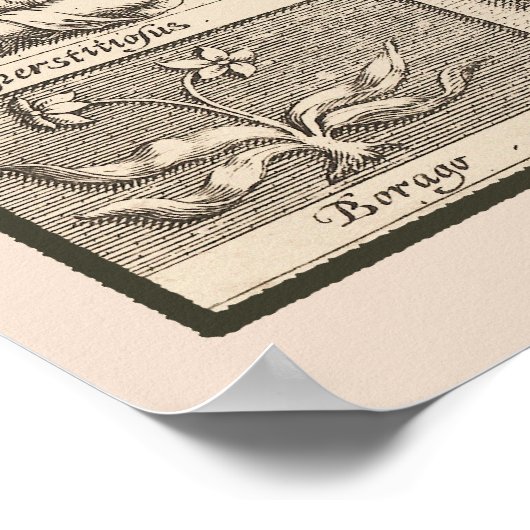 陰鬱の解剖学1621心理学的勉強 ポスター (角)