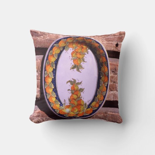 陶器用食器ポスター クッション (正面)