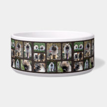 陶器製のドッグ皿