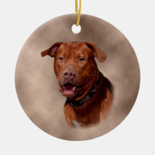 陶磁器のクリスマスツリーのオーナメント セラミックオーナメント (正面)