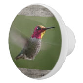 陶磁器のノブおよび引きのハチドリ セラミックノブ (右)