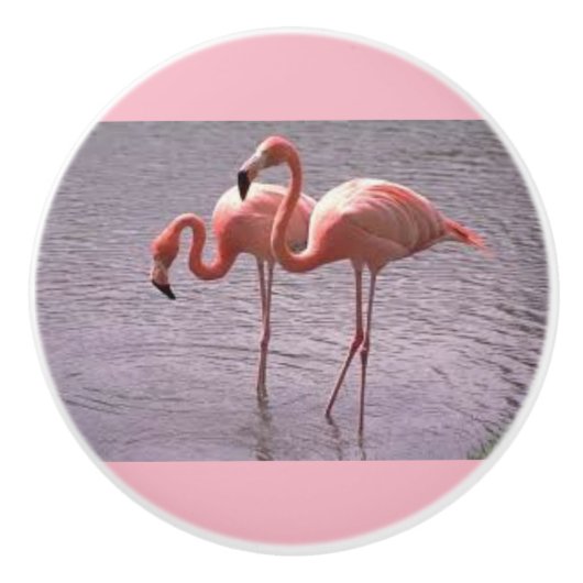 陶磁器のノブおよび引きのピンクのフラミンゴ セラミックノブ (正面)