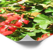 陶磁器のポスターの美しい赤い花ポット ポスター (角)