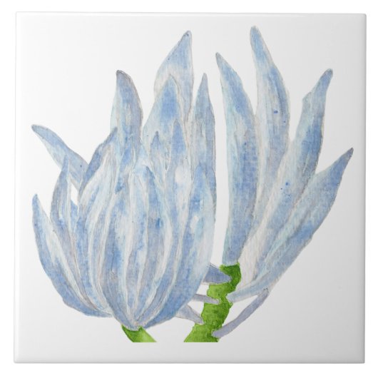 陶磁器タイルに青いチョークが付く タイル (正面)