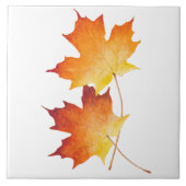 陶磁器タイルのメープルカップル タイル (正面)