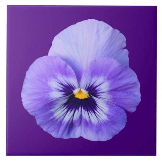 陶磁器タイルの上に紫色のパンジーの花 タイル (正面)
