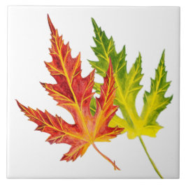 陶磁器タイルの上のシルバーメープル タイル