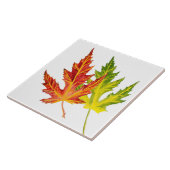 陶磁器タイルの上のシルバーメープル タイル (側面)