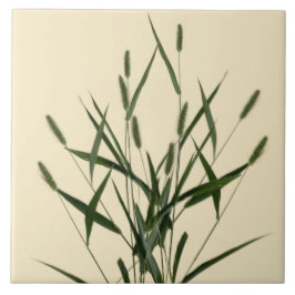 陶磁器タイルの上の夏のテクスチャ宝物 – A タイル