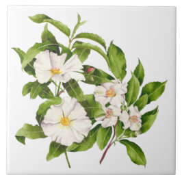 陶磁器タイルの「地球の平和」 タイル