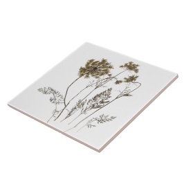 陶磁器タイル上のクイーンアンのレース（白A） タイル