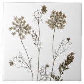 陶磁器タイル上のクイーンアンのレース（白B） タイル (正面)