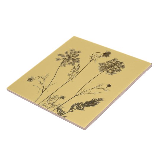 陶磁器タイル上のクイーンアンのレース（黄色B） タイル (側面)