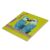 陶磁器タイル上のスピックスのマカス – (G) タイル (側面)