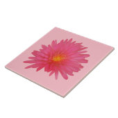 陶磁器タイル上のピンクのアプテニア花 タイル (側面)