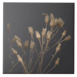 陶磁器タイル上の冬のテクスチャ宝物 – C タイル