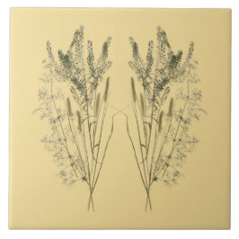 陶磁器タイル上の夏のテクスチャ宝物 – C タイル