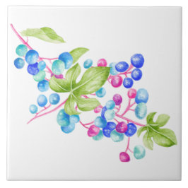 陶磁器タイル上の磁器の果実(1) タイル