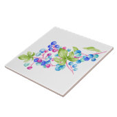 陶磁器タイル上の磁器の果実(2) タイル (側面)