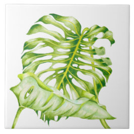 陶磁器タイル上の葉状の彫刻(1) タイル